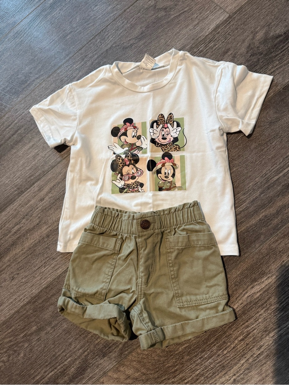 Disney Animal Kingdom outfit